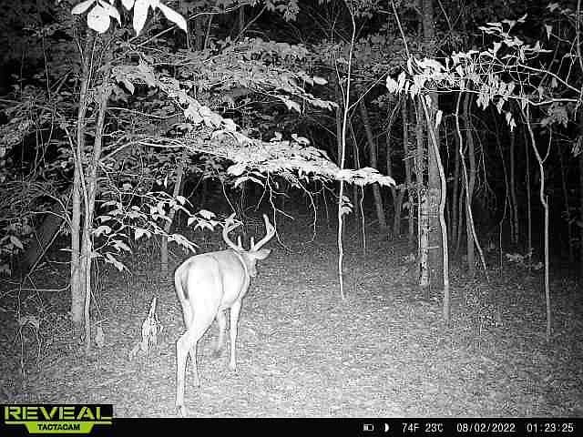 1st image of 1725 Old Highway 13
