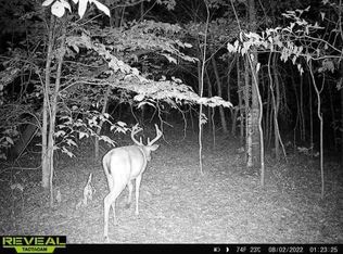 1725 Old Highway 13, Hurricane Mills, TN 37078