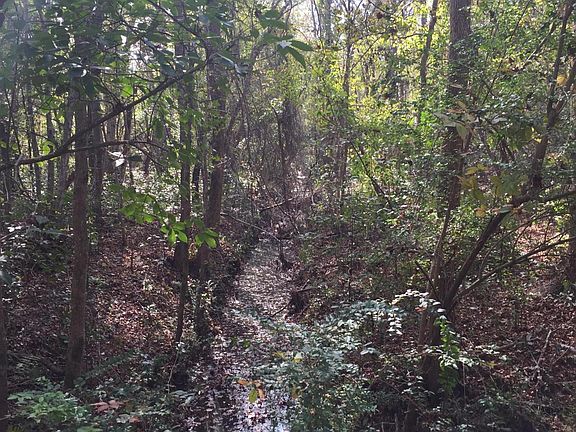 3rd image of 4002 Ennis Acres Drive LOT 1 AND 2