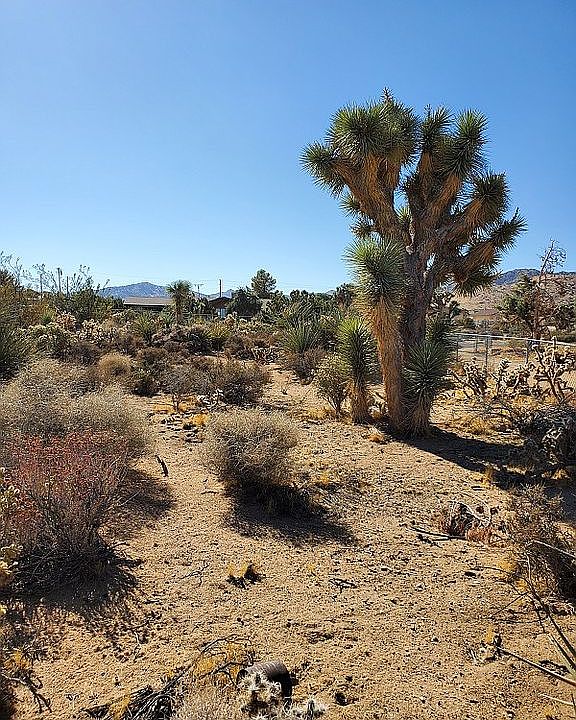 LOT VIEW 