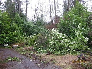 5th image of 27502 156th Ave SE