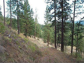 1st image of 1643B Highway 395 S