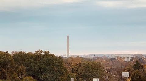 View from
