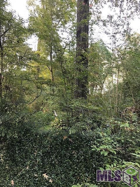 2nd image of 16727 Strain Rd
