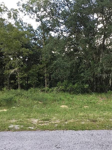 2nd image of 9503 N Sandree Dr
