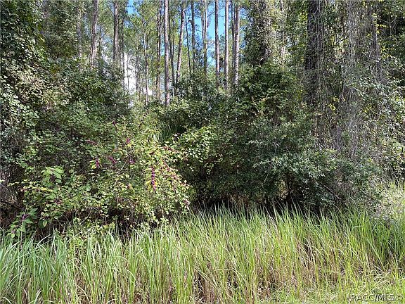 4th image of 9231 N Patch Dr