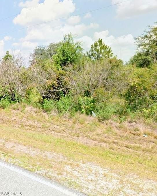 1st image of 233 Bald Cypress Ave