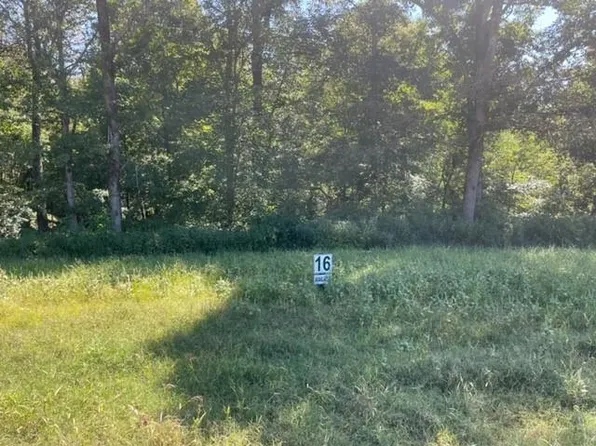 16 Clear Creek Trl, Ellijay, GA 30536
