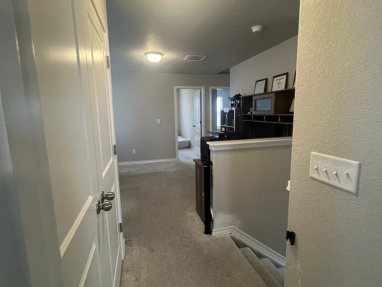 4223 Samaritan Loop — Photo 22