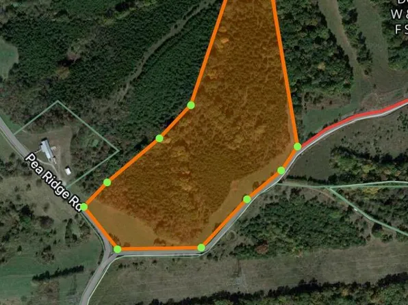 0 Pea Ridge Rd, Mount Olivet, KY 41064