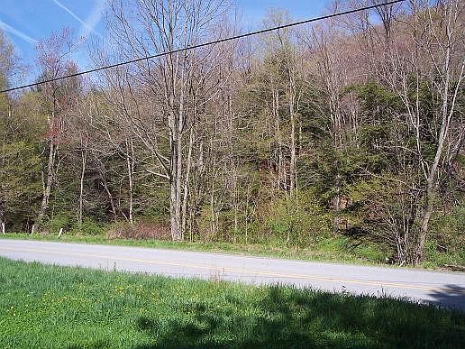 2nd image of Shadigee Creek Rd