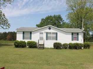 807 R W Jones Rd, Leslie, GA 31764
