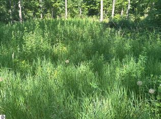 N Forward Rd, Lake City, MI 49651