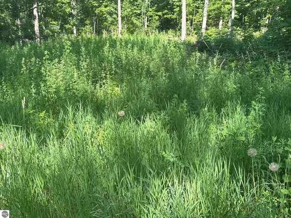 N Forward Rd, Lake City, MI 49651