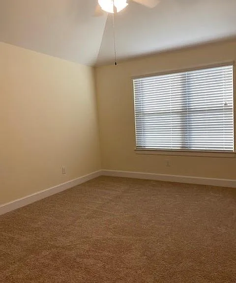 11506 Main Elm Dr — Photo 14