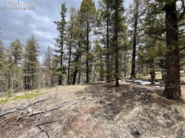 228 Alpine Dr, Florissant, CO 80816