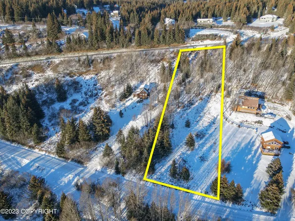1450 Cottonwood Ln, Homer, AK 99603