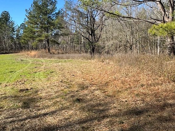2nd image of 0 County Road 6650