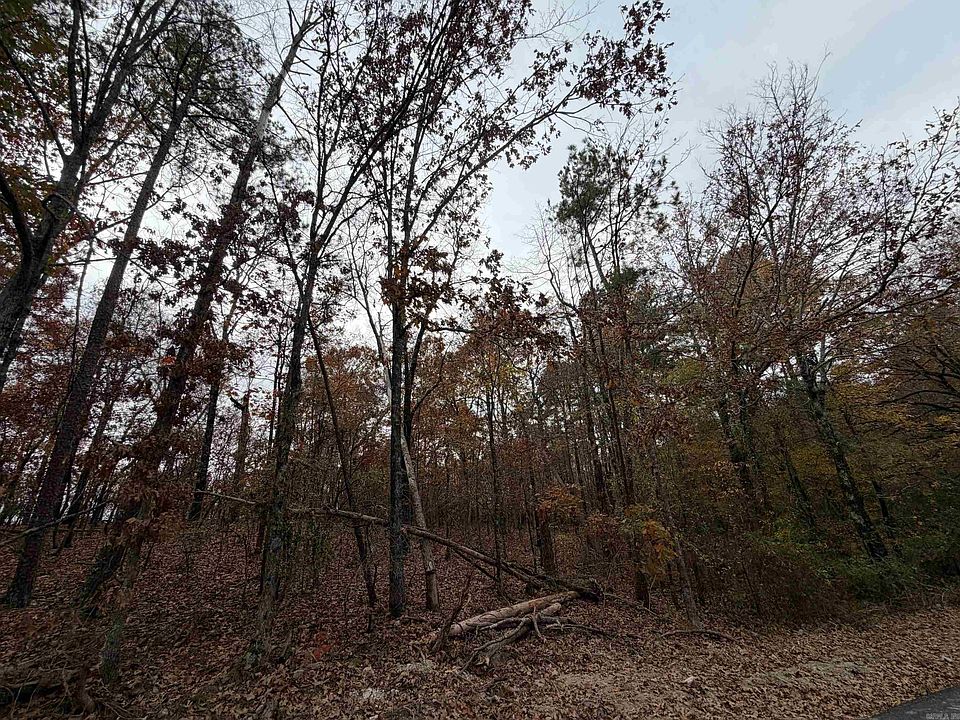 2nd image of Chattanooga St