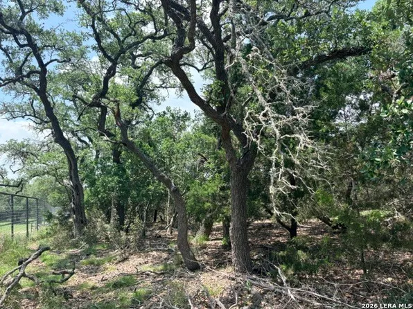 128 CONEFLOWER DR LOT 1428, Spring Branch, TX 78070