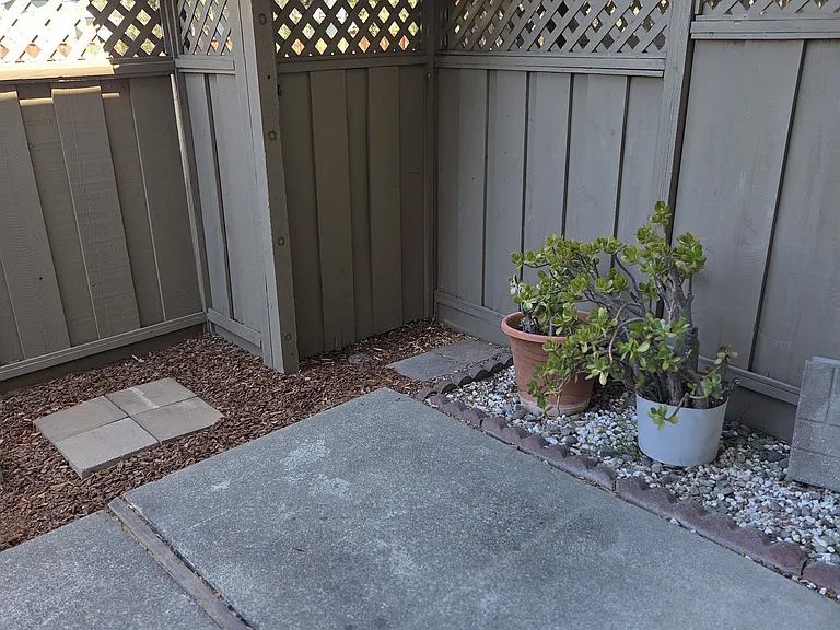 Backyard Patio