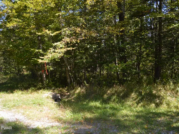 Snow Drift Rd, Newfoundland, PA 18445