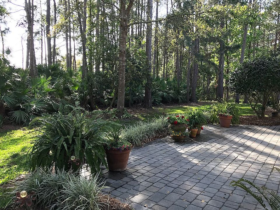 Back patio 
