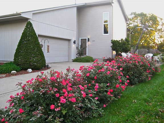 summer view from street
