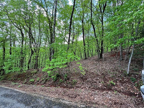 5th image of 0 Valley View Dr