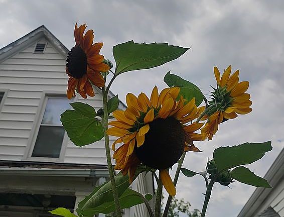 2nd image of 4743 Beacon Ave