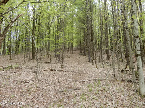 0 Storm Hill Road, Pittstown, NY 12094