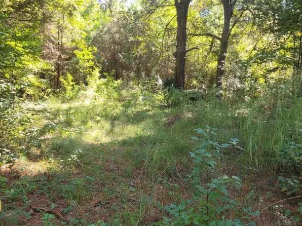 2814 Highway 174, Edisto Island, SC 29438