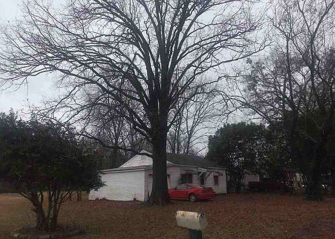 2nd image of 2909 Truman Ave SE