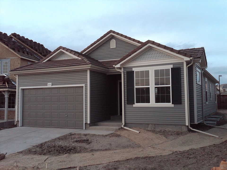 Front (before landscaping)