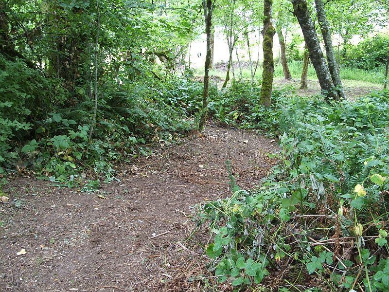 path next to creek