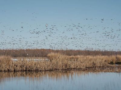 Highway 8 W, Holcomb, MS, 38940