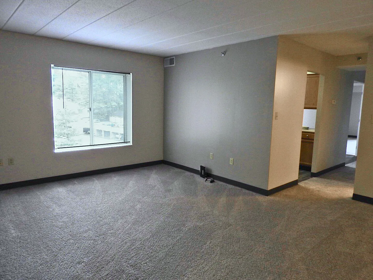 Bower Hill III — Photo 3