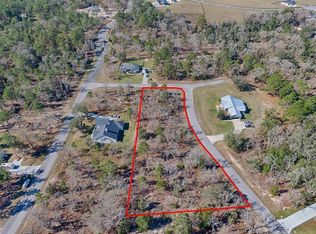 Cr 243a, Wildwood, FL 34785