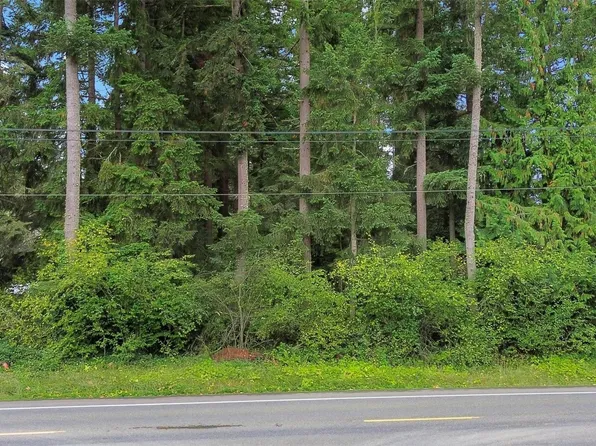 0 148th Avenue SE, Yelm, WA 98597