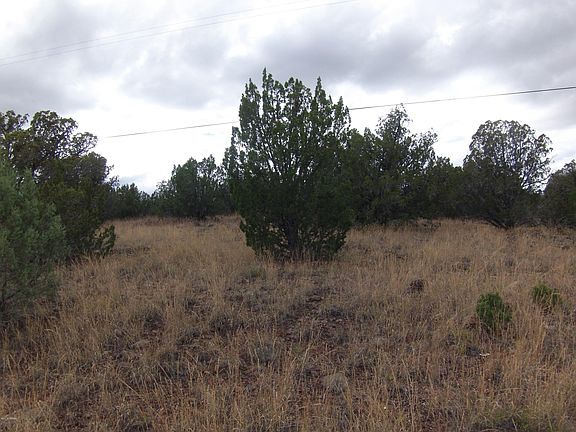 4th image of 2026 Silver Creek Dr