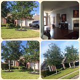 2nd image of 2808 Chinaberry Park Ln