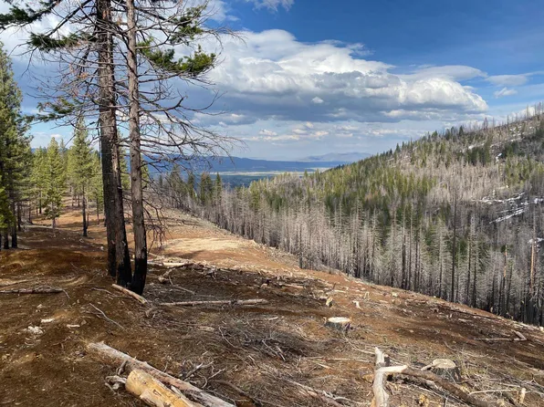 693605 Gold Run Rd, Susanville, CA 96130