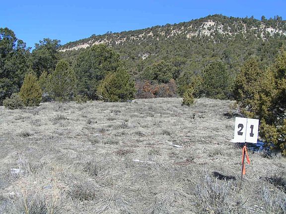 5th image of TRACT Old Relay Rd