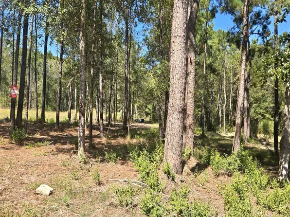 1 Grace Ln, Lumberton, TX 77657