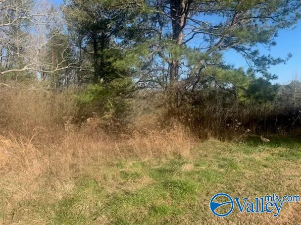 County Road 818, Logan, AL 35098
