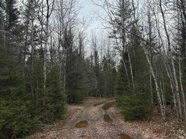 PARCEL 6 W Johnson Lake Rd, Gwinn, MI 49841