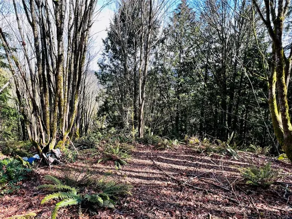 13729 Jordan Trails Road, Arlington, WA 98223