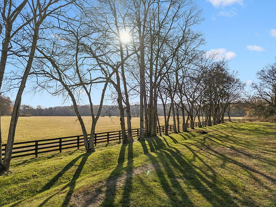 10th image of this home