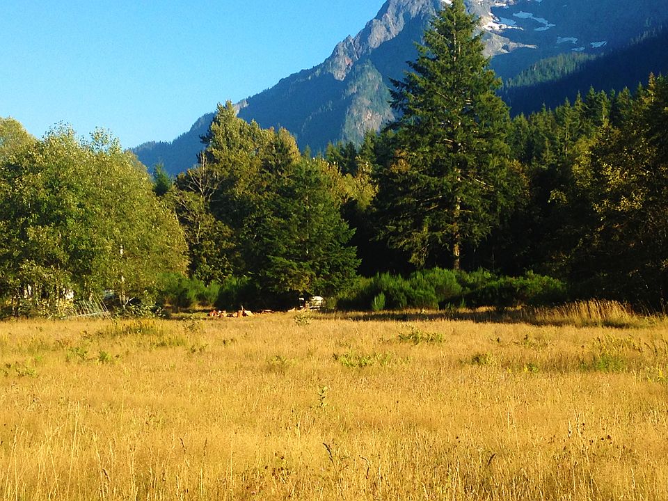 Whitehorse views!