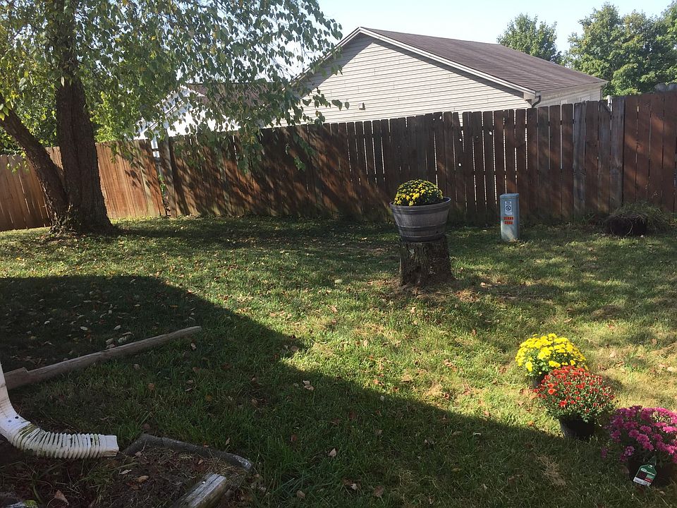 Back yard